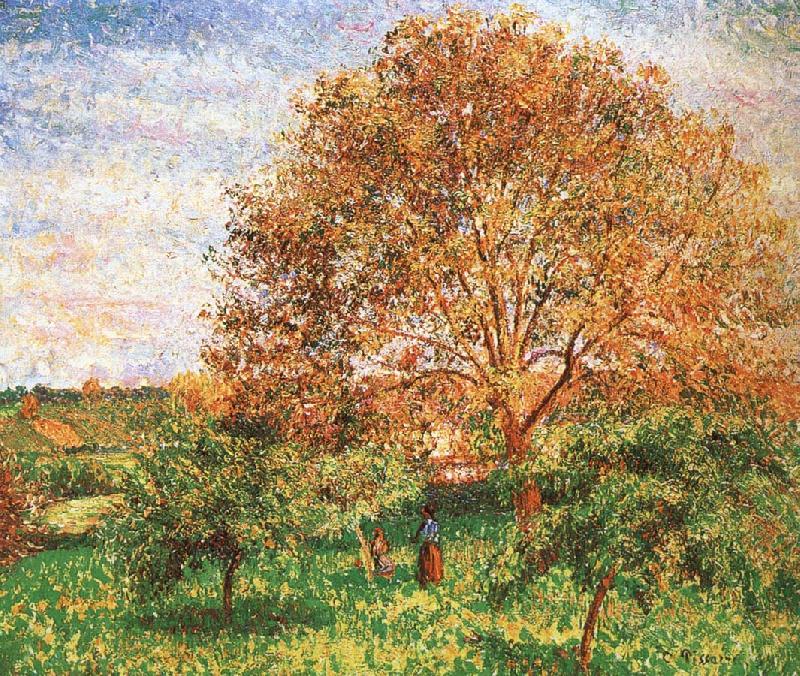 Camille Pissarro Red sky under the apple tree France oil painting art